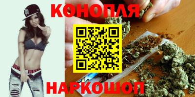 Альфа ПВП Вышний Волочёк