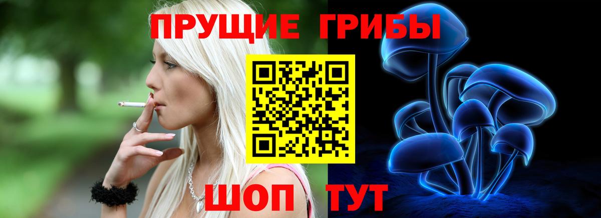 Псилоцибиновые грибы Psilocybine cubensis  Вход с VPN  Кингисепп 